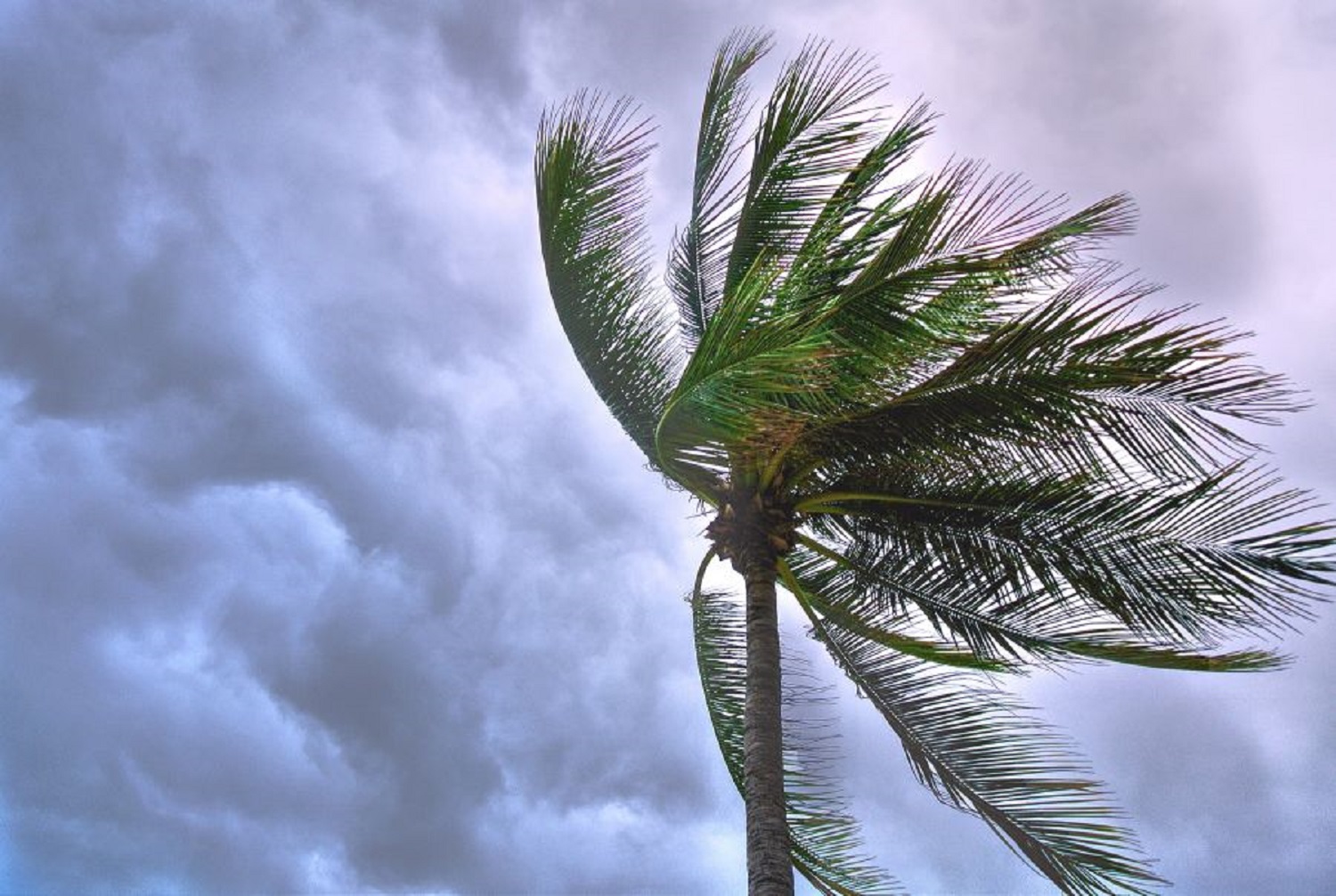 Hurricane Preparedness Planning Tips Swedes Real Estate