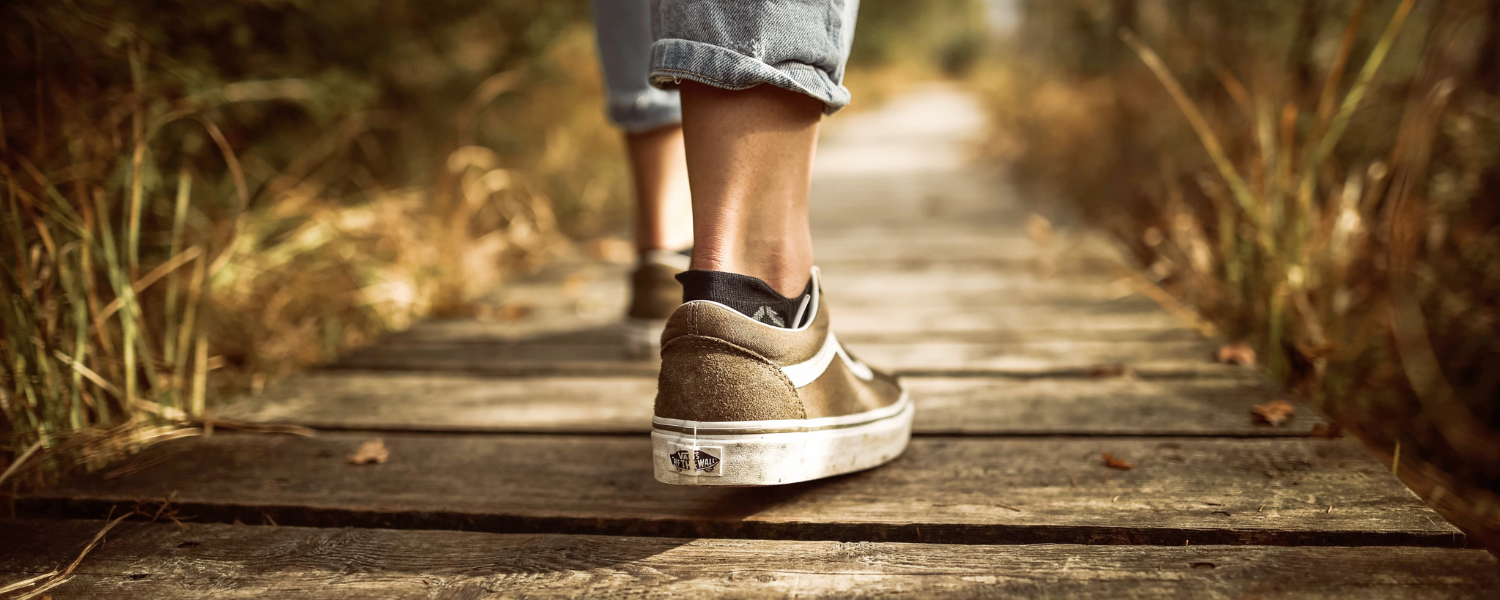 person walking on boardwalk in nature