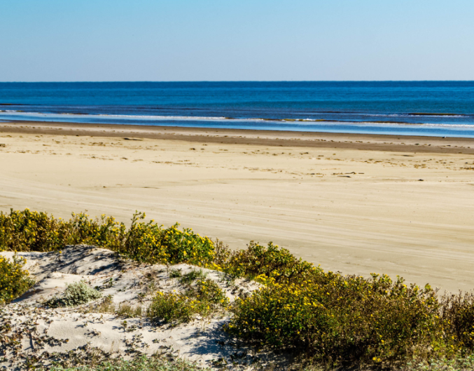 wide open beach with beautiful blue water